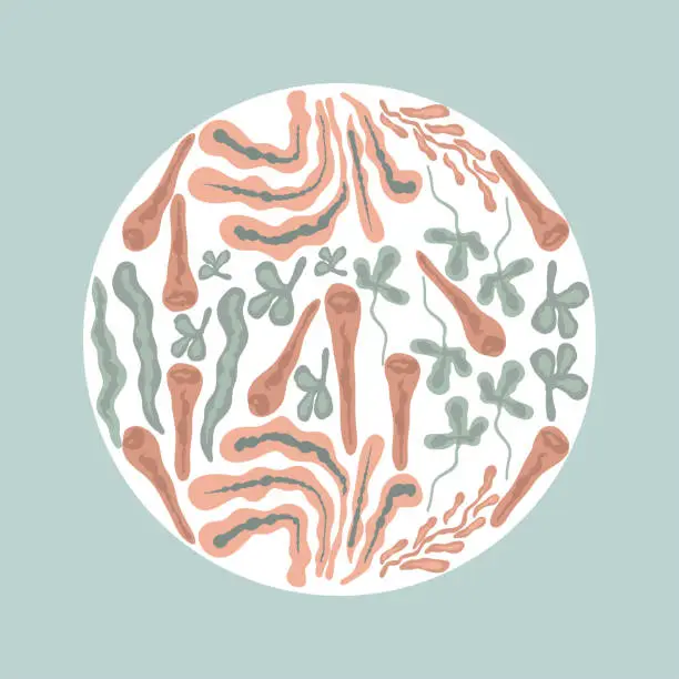 Vector illustration of Circle ornament undersea life pattern