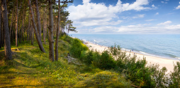 istock Holidays in Poland - Baltic seashore in Pobierowo 2101199914