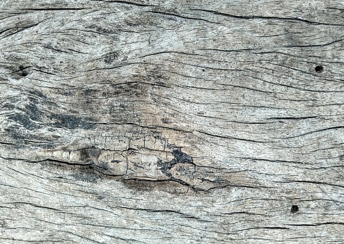 A closeup shot of a grayish wood surface with cracks and lines