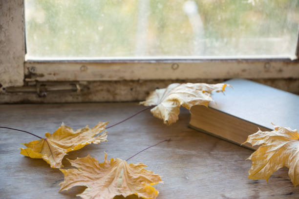 istock A closed, thick book rests on a rustic wooden table, surrounded by dried maple leaves, hinting at a cozy autumn day 2101225636