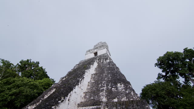 Temple Ruins Tikal in Guatemala