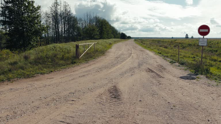 Forbidden Passage: Autumn Road through Nature's Canvas