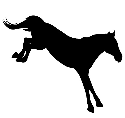 Jumping horse, silhouette. Vector illustration