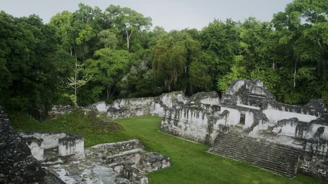 Temple Ruin Tikal Trees around it