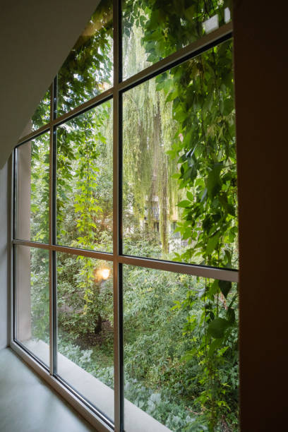 istock View from the window to a lush green garden 2101273683