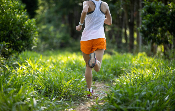 Trail runner running in summer forest trail