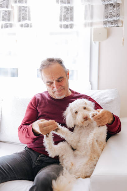 istock White old man loves his dog while sitting on the couch 2101327503
