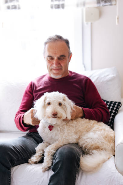 istock White old man loves his dog while sitting on the couch 2101328057