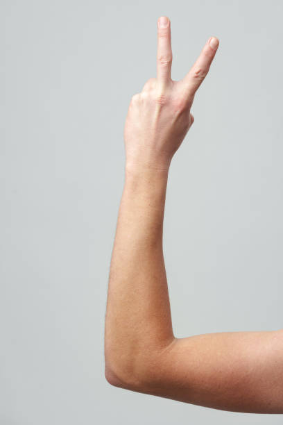 Male hand showing two fingers on gray background close up