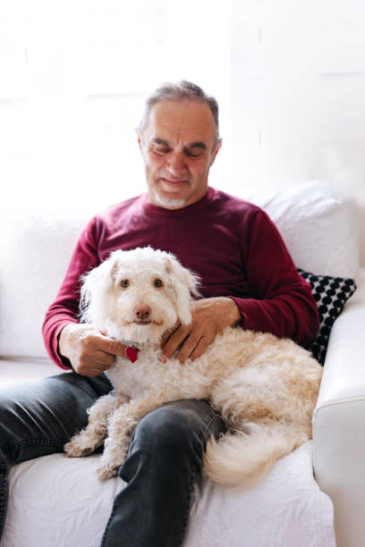 istock White old man loves his dog while sitting on the couch 2101330251