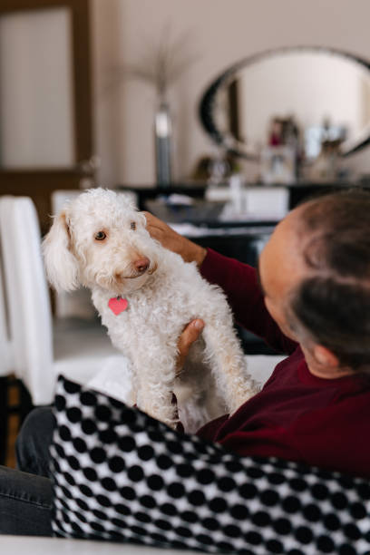 istock White old man loves his dog while sitting on the couch 2101330276