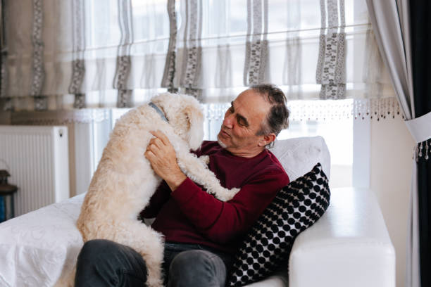 istock White old man loves his dog while sitting on the couch 2101330829