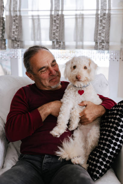 istock White old man loves his dog while sitting on the couch 2101331373