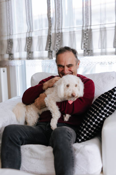 istock White old man loves his dog while sitting on the couch 2101332469