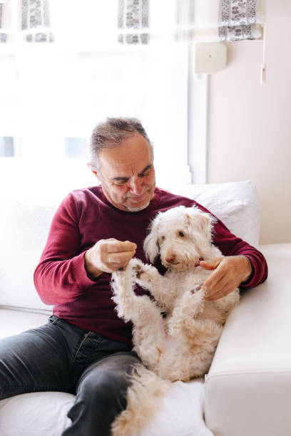 istock White old man loves his dog while sitting on the couch 2101333002