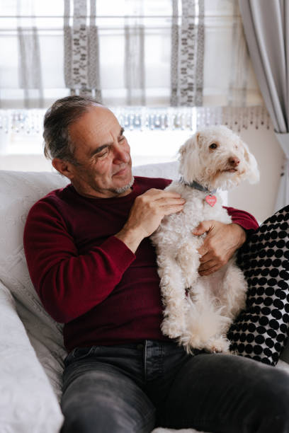 istock White old man loves his dog while sitting on the couch 2101333523