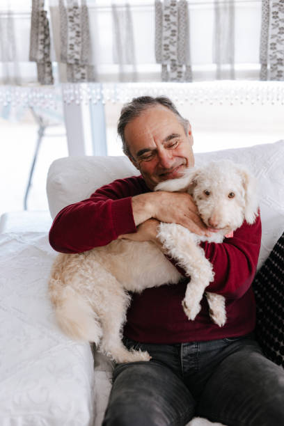 istock White old man loves his dog while sitting on the couch 2101333559
