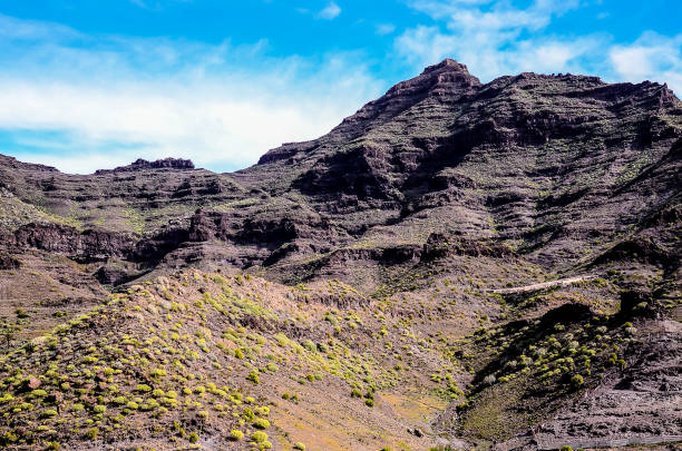 Volcanic Rock Basaltic Formation in Gran Canaria Canary Islands