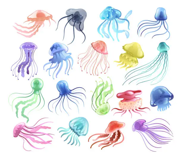 Vector illustration of Colorful Jellyfish with Umbrella-shaped Bell and Trailing Tentacles Vector Set