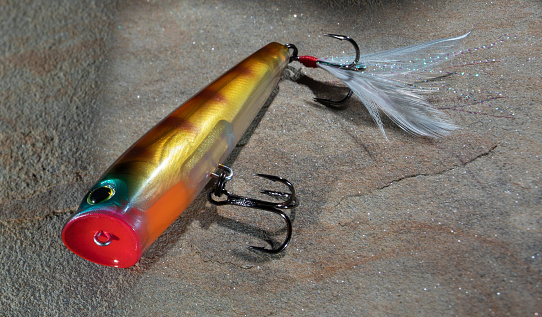 Artificial fishing lure anglers use when fish are biting on the surface of the water