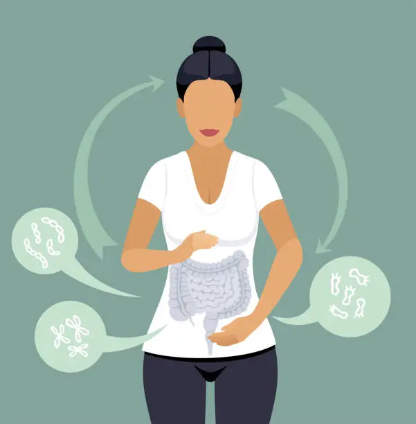 Vector illustration of Radiant Woman with Optimized Gut Flora Balance.