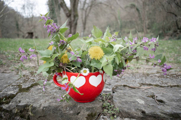 istock Cup of natural pure love 2101384142