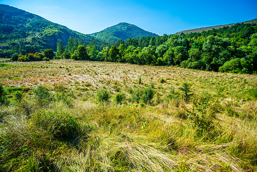 Landscape of Stara Planina mountain in Serbia