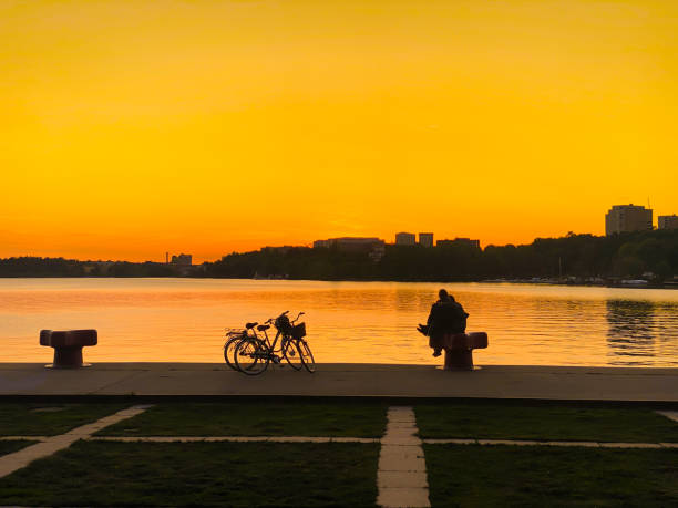A striking silhouette of a large, solitary tree stands against a vibrant orange sunset sky. The scene is set by a lake with a city skyline in the background. A lone figure stands near the tree, while empty chairs line the shore, creating a serene yet urban atmosphere.