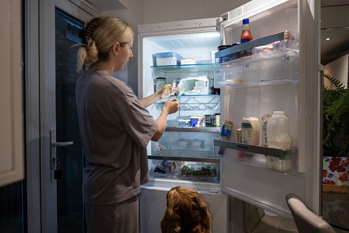 An over the shoulder view of a married Lesbian woman taking out her fertility treatment from the fridge. The medicine must be kept chilled. She is going through fertility treatment with support from her wife. She is taking injections daily as prescribed. She is also joined by her pet cocker spaniel.