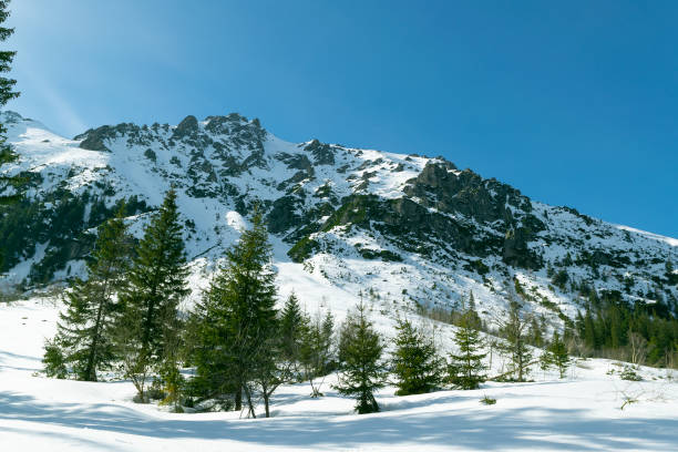 Snowy mountain peaks. Beautiful winter landscape in the mountains. Stone cliffs.