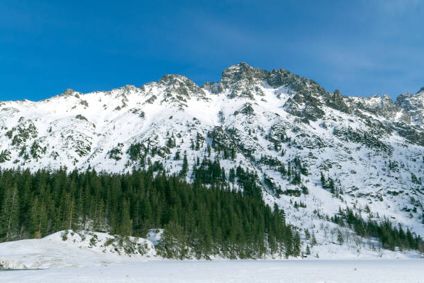 Snowy mountain peaks. Beautiful winter landscape in the mountains. Stone cliffs.