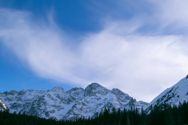 istock Snow-capped mountain peaks and spruce forest. 2101456349