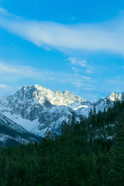 istock Snow-capped mountain peaks and spruce forest. 2101456355