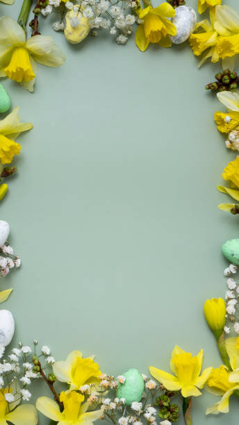 istock Spring flowers ans easter eggs border on green background with copy space. Easter greeting card 2101467435