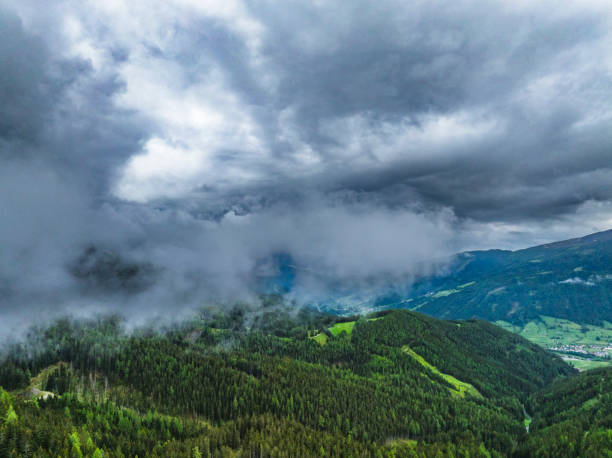 Pine tree forests in a mountain landscape on a mountain in the Central Eastern Alps during an overcast springtime day in Carinthia, Austria.