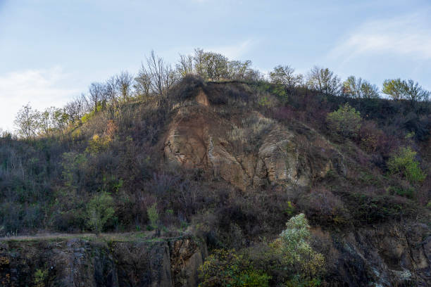 istock Background wild rocks, nature, Tree grows on rocks 2101527671