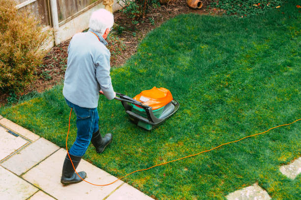 istock High angle view of man mowing lawn in back garden 2101532363