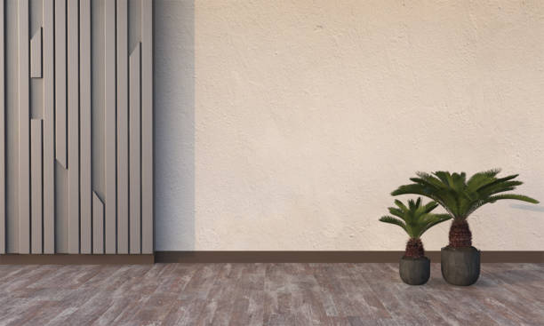 istock Interior ornamental plants on wooden floor with empty wall background. 2101535994