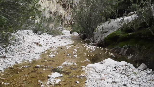 narrow canyon of Creek