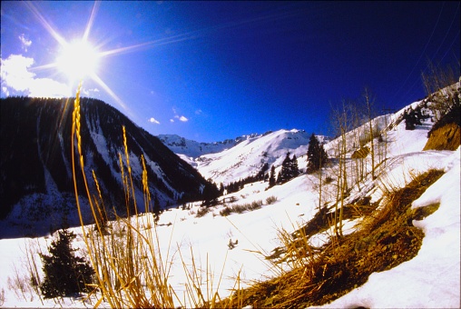 Ophir Historic Pass Early Winter Ski Touring in 1986