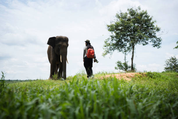 istock asian woman caressing an asian elephant 2101558801