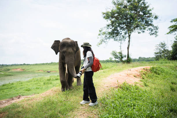 istock asian woman caressing an asian elephant 2101558836