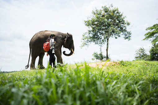 woman standing next to elephant -way kambas National Reserve Sumatra,