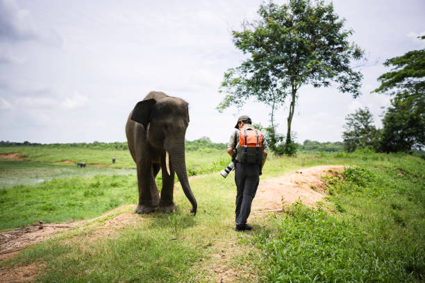 istock asian man caressing an asian elephant 2101560957