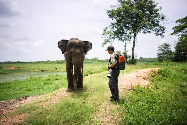 istock asian man caressing an asian elephant 2101560960