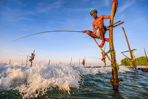 A close-up of a stilt fishermen working near Galle town, Sri Lanka, Asia. Stilt Fishing is one of the most interesting traditional fishing methods in Asia