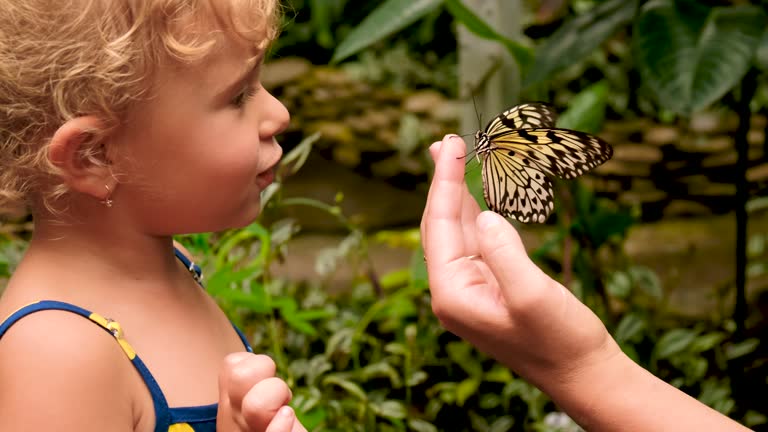 tropical butterfly on hand. selective focus. nature.