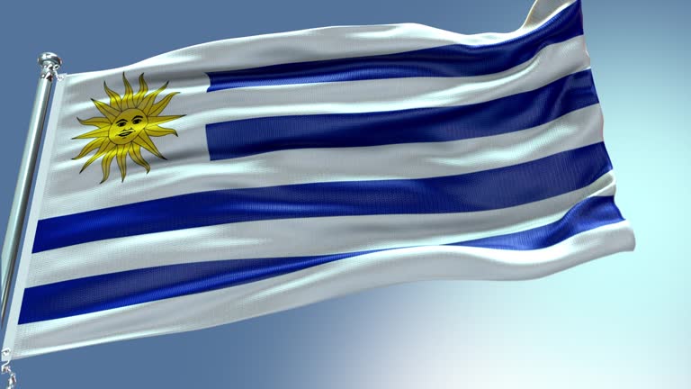 Flag of Uruguay, Uruguaian Flag