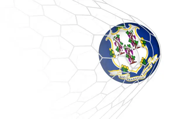 Vector illustration of Connecticut flag soccer ball in net.