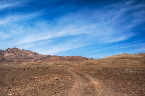 istock dirt road in the steppe on a sunny spring day under a beautiful blue sky 2101642594